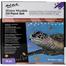 Mont Marte Premium H2O Water Mixable Oil Paint Set 36 Pcs image
