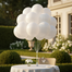 Monty Balloon 20 Pcs Set image
