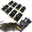 Mouse Killer Trap (5×3×3 inches) 1 Pcs image
