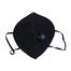 Mouth Mask PM2.5 Anti Dust Pollution (Black Color) image