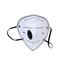Mouth Mask PM2.5 Anti Dust Pollution (Black Color) image