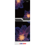 MyOne MY-175 Refrigerator - 175 Liter - Elegant Magnolia Black Match image