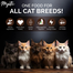 Mystic Low Grain Kitten Chicken Dry Cat Food 1.5 kg image