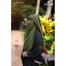 Glam Touch Naomi Two Layer Flap Niqab image