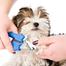 Nail Clipper For Cat and Dog - Medium - Pet Grooming Tool Supply image