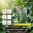 Naomi Seed Cucumber Green Maya - 1 gm image