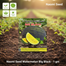 Naomi Seed Watermelon Big Black - 1 gm image
