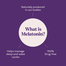 Natrol Fast Dissolve Melatonin 10mg Tablets 100Pcs image