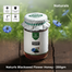 Naturals Blackseed Flower Honey (কালোজিরা ফুলের মধু) - 250gm image