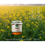 Naturals Mustard Flower Honey (সরিষা ফুলের মধু) - 250 gm image