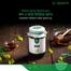 Naturals Mustard Flower Honey (ন্যাচারালস সরিষা ফুলের মধু) - 500gm image
