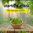 Nature Leaf Neem Leaf Powder( Neem Pata Gura)- 100 gm image