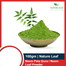 Nature Leaf Neem Leaf Powder( Neem Pata Gura)- 100 gm image