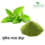 Nature Leaf Pudina Pata Gura (Mint Leaf Powder)- 100 gm image