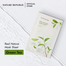 Nature Republic Real Nature Mask Sheet Green Tea – 23ml image