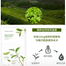 Nature Republic Real Nature Mask Sheet Green Tea – 23ml image