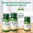 Nature’s Bounty Vitamin B6 100mg – 100 Tablets -326050417 image
