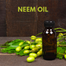 Brikkho Hat Neem Oil 100 ml image