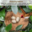 Nesting Material – Coconut Fibre Nesting Material For Bird image