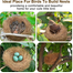 Nesting Material – Coconut Fibre Nesting Material For Bird image
