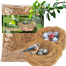 Nesting Material – Coconut Fibre Nesting Material For Bird 500 gm image