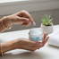 Neutrogena Hydro Boost Gel Cream For Dry Skin 50 ml image