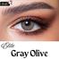 New Bella Gray Olive Color Contact Lens With Regular Kit Box For Men and Women. 1 Pair Bella Color Contact Lens For Eye Makeup and Cosmetics. Bella Elite Series image