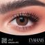 New Dahab Argan Color Contact Lens With Regular Kit Box For Men and Women. 1 Pair Dahab color Contact Lens For Eye Makeup and Cosmetics. Dahab Platinum Collection image