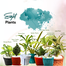 Brikkho Hat New Home Indoor Pack -2 (8 Plants) (Spider Plant, Snake Green, Jade Plant, Fairy Castle Cactus, Areca Palm, Money Plants, Lucky Bamboo, Lemon Lime Philodendron)