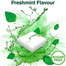 Nicorette Freshmint Chewing Gum 4 mg 210 Pcs image