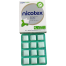 Nicotex Anti Nicotine Chewing Gum Mint Plus Flavour 4mg 1 Box 12pcs image