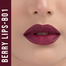 Nirvana Color Matte Color Bullet-Berry Lips 5gm (B01) image