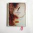 Jothashilpa Young Rabindranath Notebook image