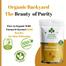 ORGANIC BACKYARD 100 Percent Natural Wild Turmeric Powder Combo 100 gm image