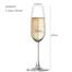 Ocean Classic Flute Champagne 185ml 6 pcs set image