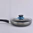 Ocean Fry Pan Non Stick Stone Coating W/G Lid image