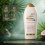 Ogx Extra Creamy Coconut Miracle Oil Body Wash 577ml image