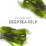 Olay Cleansing Infusion Deep Sea Kelp Body Wash 400 ml image