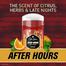 Old Spice After Hours Intrigue and Spice Stick Deodorant 85 gm image