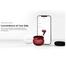 Oraimo OEB-E02D True Wireless Earbuds-Black image