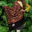 Orginal Kashmiri Poshmina Shawl For Women Winter image