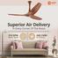 Orient 48 Inch Aeroquiet-BLDC (35w) Ceiling Fan Wooden image