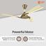 Orient 48 Inch Orina Ceiling Fan Olive image