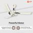 Orient 48 Inch Orina Ceiling Fan Pearl White Black image