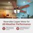 Orient Subaris 52 Inch Ceiling Fan Antique Copper - Oakwood image