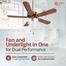 Orient Subaris 52 Inch Ceiling Fan Antique Copper - Oakwood image