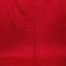 Original Kashmiri Poshmina Shawl For Women Red image