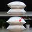 Original Shimul Fiber Head Pillow Cotton Fabric White 18x24 Inch - 1 Pcs image