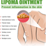 Ouhoe Lipoma Cream Skin Lump Nodule Ointment Natural Herbal Plaster 20ml image