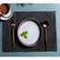 PVC Table Mat image